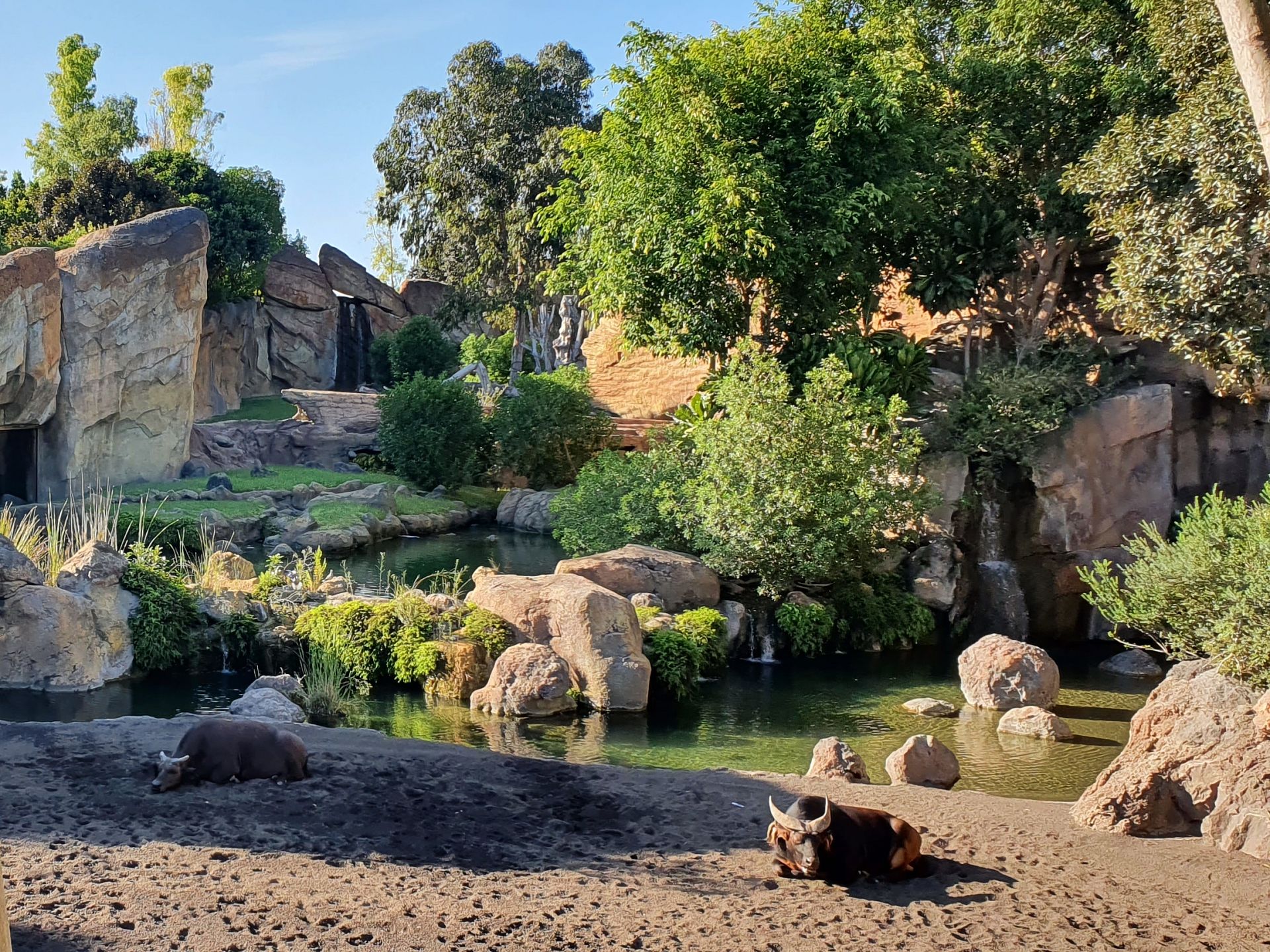 Bioparc Valencia